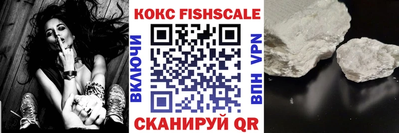 Купить закладки  Алексеевка  КОКАИН FishScale 