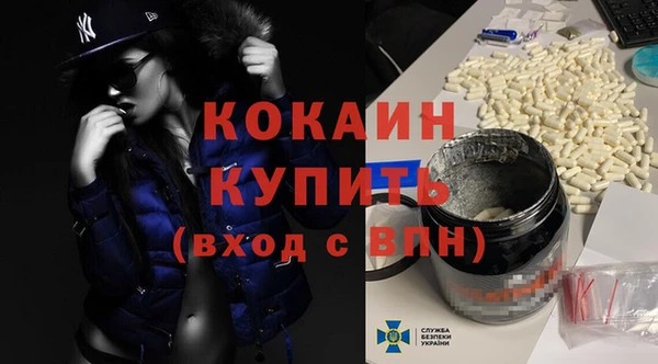гидра Нестеровская
