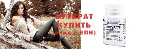 гидра Нестеровская