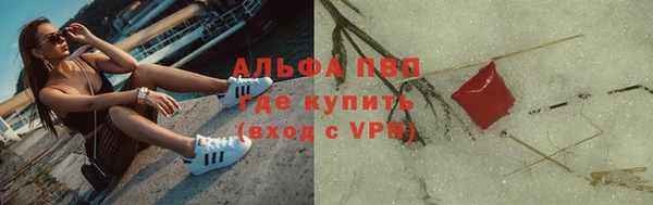 гидра Нестеровская