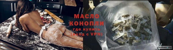гидра Нестеровская