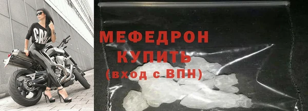 гидра Нестеровская