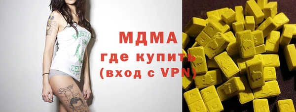 гидра Нестеровская