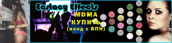 гидра Нестеровская