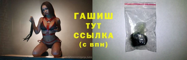 гидра Нестеровская