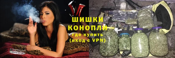 гидра Нестеровская