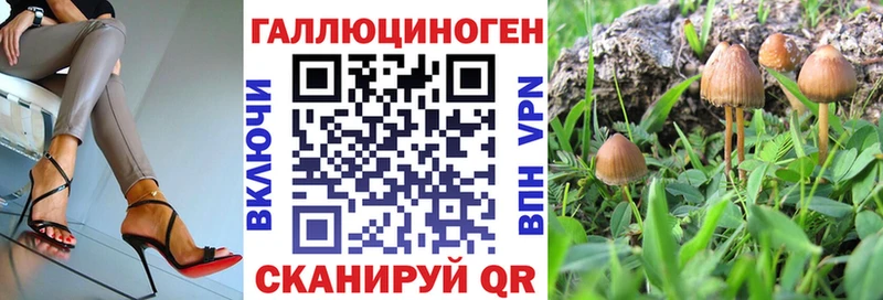 Купить где  Алексеевка  Галлюциногенные грибы мицелий 